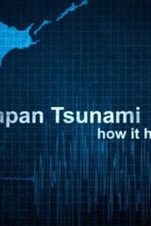 Profilový obrázek - Japan Tsunami: How It Happened