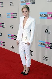 Profilový obrázek - American Music Awards 2013