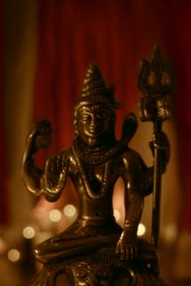 Profilový obrázek - Shiva