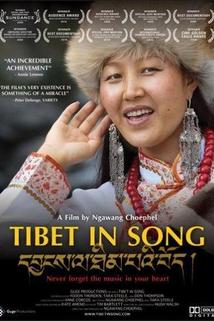 Profilový obrázek - Tibet in Song