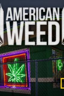 Profilový obrázek - American Weed