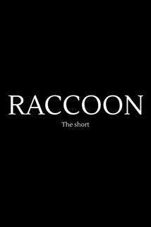Profilový obrázek - Raccoon