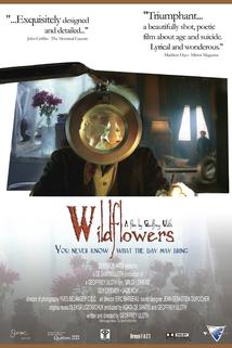 Wildflowers  - Wildflowers