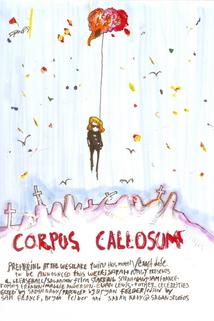 Profilový obrázek - Corpus Callosum