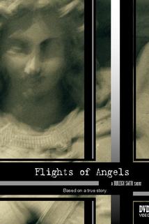 Profilový obrázek - Flights of Angels