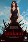 Intikam (2013)