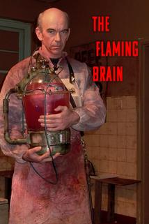 Profilový obrázek - The Flaming Brain