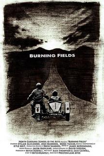 Profilový obrázek - Burning Fields