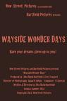 Wayside Wonder Days 