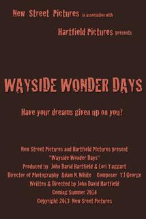 Profilový obrázek - Wayside Wonder Days