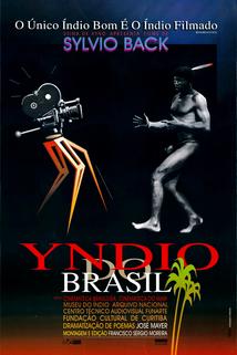 Profilový obrázek - Yndio do Brasil