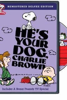 Profilový obrázek - Life Is a Circus, Charlie Brown