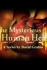 The Mysterious Human Heart (2007)