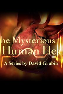 Profilový obrázek - The Mysterious Human Heart