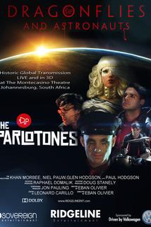 Profilový obrázek - Dragonflies and Astronauts