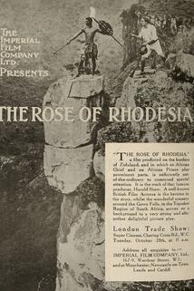 Profilový obrázek - The Rose of Rhodesia