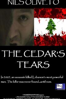 Profilový obrázek - The Cedar's Tears