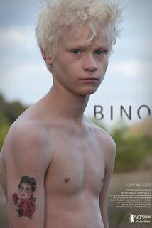 Profilový obrázek - Bino