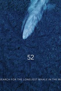 52: The Search for the Loneliest Whale in the World