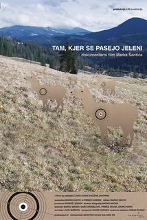 Tam, kjer se pasejo jeleni