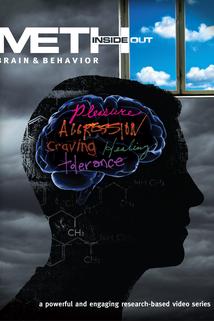 Profilový obrázek - Meth Inside Out: Brain & Behavior
