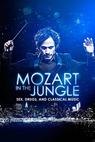 Mozart in the Jungle (2014)