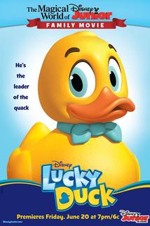 Profilový obrázek - Lucky Duck