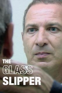 Profilový obrázek - The Glass Slipper