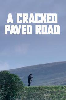 Profilový obrázek - A Cracked Paved Road