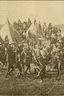 Profilový obrázek - On the Little Big Horn or Custer's Last Stand
