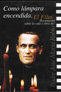 Profilový obrázek - Como lámpara encendida
