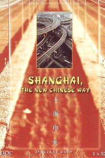 Profilový obrázek - Shanghai: La nueva vía china