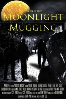 Profilový obrázek - Moonlight Mugging