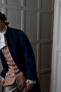 Profilový obrázek - A Gooseberry Fool: Oliver Goldsmith Stoops to Conquer