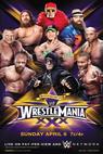 WrestleMania XXX (2014)