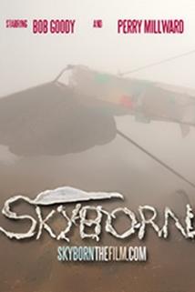 Profilový obrázek - Skyborn