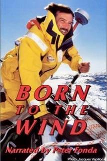 Profilový obrázek - Born to the Wind