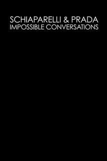 Profilový obrázek - Schiaparelli & Prada: Impossible Conversations
