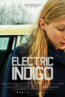 Profilový obrázek - Electric Indigo