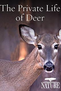 Profilový obrázek - The Private Life of Deer