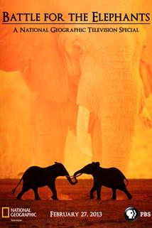 Profilový obrázek - Battle for the Elephants