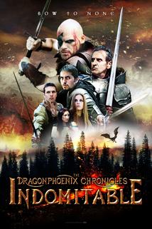 Profilový obrázek - The Dragonphoenix Chronicles: Indomitable