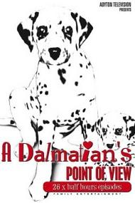 Profilový obrázek - A Dalmatians Point of View