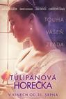 Tulipánová horečka (2017)
