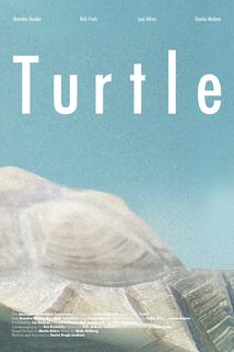 Profilový obrázek - Turtle