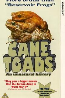 Profilový obrázek - Cane Toads: An Unnatural History