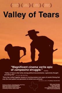 Profilový obrázek - Valley of Tears