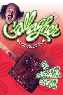 Profilový obrázek - Gallagher: Sledge-O-Matic.com