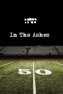 Profilový obrázek - In the Ashes