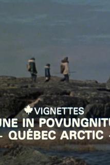 Profilový obrázek - Canada Vignettes: June in Povungnituk - Quebec Arctic